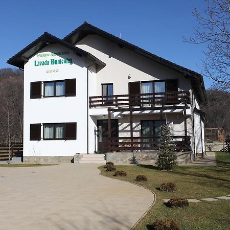 Pensiunea Livada Bunicului Stanesti  Buitenkant foto