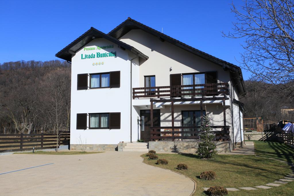 Pensiunea Livada Bunicului Stanesti  Buitenkant foto