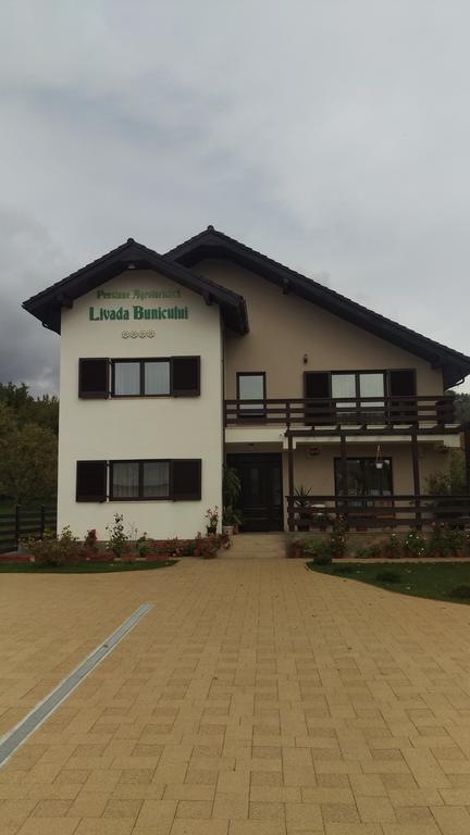 Pensiunea Livada Bunicului Stanesti  Buitenkant foto