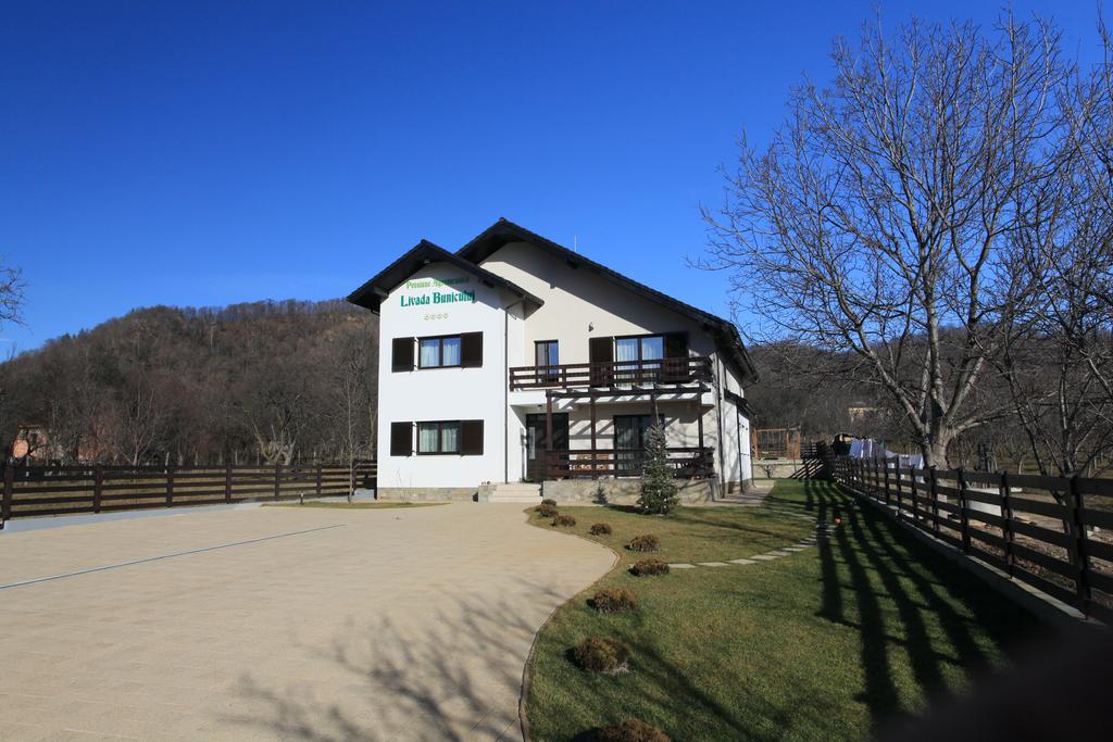 Pensiunea Livada Bunicului Stanesti  Buitenkant foto