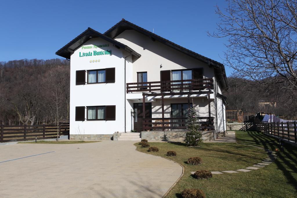 Pensiunea Livada Bunicului Stanesti  Buitenkant foto